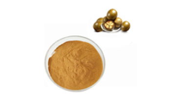 100% Pure Mogroside Luo Han Guo Powder1