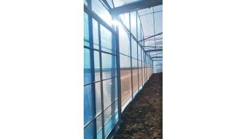 film multi-span Greenhouse