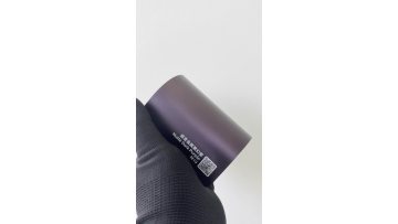 Matte Dark Purple	M19