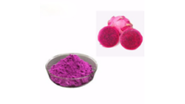 Youth Top Quality Organic Pink Pitaya Fruit Powder1