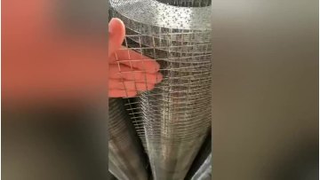 YQ Factory Price Galvanized Welded Wire Mesh Rolls Netting for Cages1
