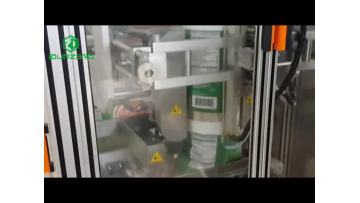 540H Peanut High Speed Form Fill Seal Machine