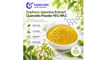 Sophora Japonica Extract Quercetin Powder 95% HPLC