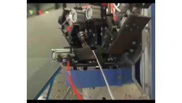 BFG03 automatic desiccant fillign amchin1.mp4