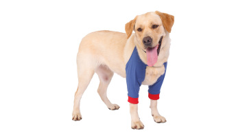 High Quality Dog Knee Braces