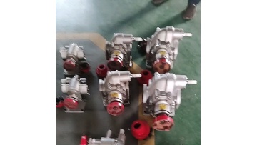 Stainless steel edible oil gear pump KCB series electric explosion-proof oil pump1