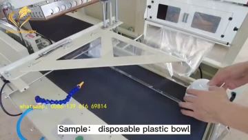 side seal shrink wrapping machine