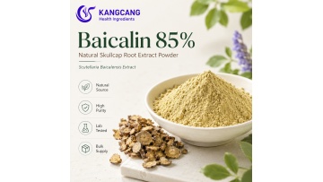 Skincare Scutellaria Root Extract Baicalin 85% Powder