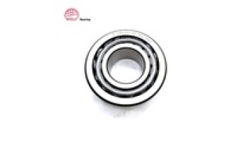 High Precision F-585302.02 Automobile Differential Bearing1