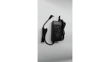 24V 2.5A laptop charger