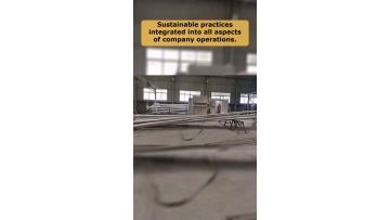 Video 56