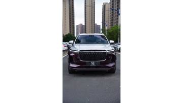 MP05-P Metal Paint Black Rose Car Wrap