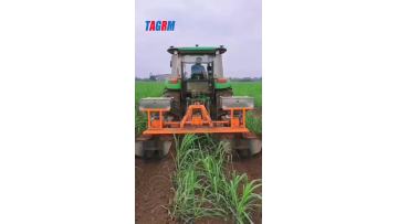 sugarcane fertilizer machine