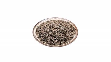 Burdock Root Seeds Niubangzi