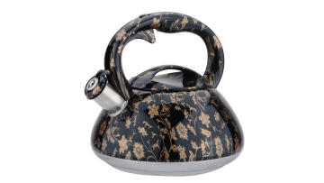 FH-291 0.6mm 430SS induction bottom kettle