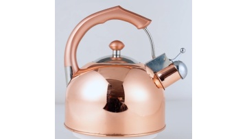 Stainless steel copper plating water kettle