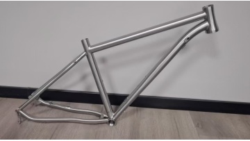 Titanium mountain bike frame