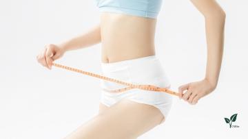 Berberine Hydrochloride For Weight Loss Berberine 
