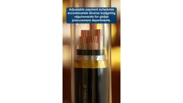 Solutions for new product joint R&D mode supporting overseas customers custom green cable concept realization