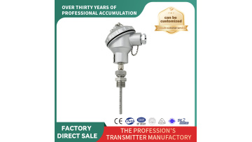 Custom Length E Type Waterproof Temperature Sensor Probe(WR-E)