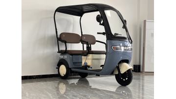 Small electric scooter