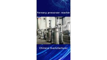 Ternary precursor reactor10