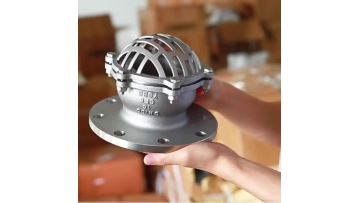 Pump Foot Valve