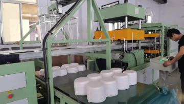 foam food container vacuum forming machine1