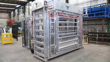 Fully automatic pneumatic cattle yard crush1