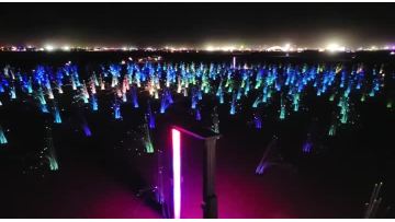 Landscape Lighting