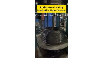 Premium Carbon Steel Wire for Durable Springs