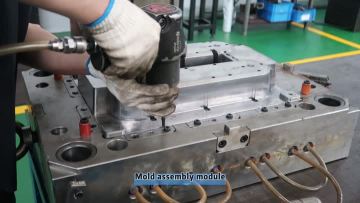 Mold assembly module