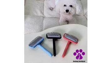 Pet needle comb rake