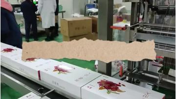 Cellophane Packaging Machine