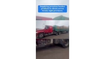 Video 51