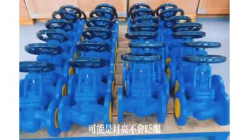 Bellows Seal Globe Valve