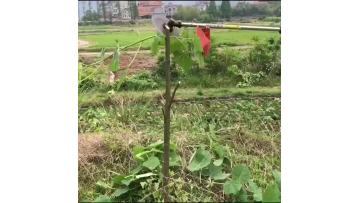 割草机.mp4