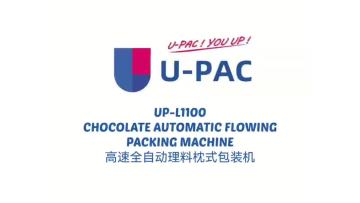 L1100