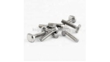 DIN 25192 T Type Bolt  T-slot T-Head Bolts (Hammer Head Bolts) for Railway Vehicles1