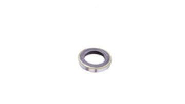 Tcm 10152 um Shaft Dust Seal 25.4*38.1*6.35 with Um Type1