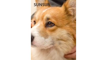 SZ-D1 D2 D3  complete dog can food. Chicken/Salmon/Beef