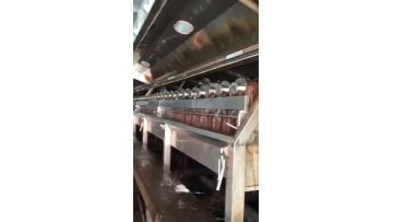 Hank dyeing machine