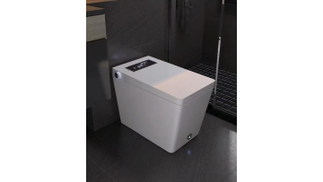 smart toilet