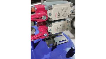 Single-acting pneumatic gate valve