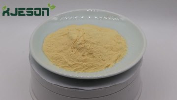 Egg Yolk Lecithin Powder