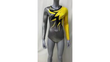long sleeve gymnastic leotards