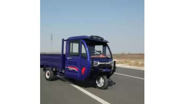 customized two doors city electric