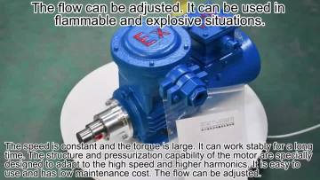 0.30cc Gear pump