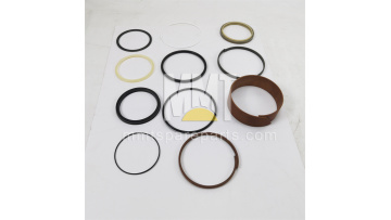 Seal Kit 456-0200