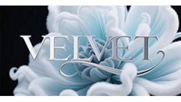 Xinxin Meng Co., Ltd.